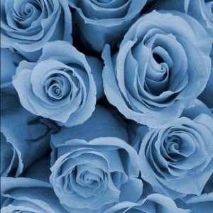 Meet your Posher, Stefany